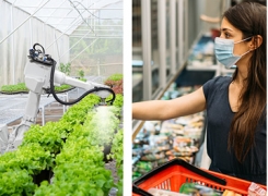 Lyceum Publisher – Research