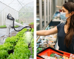 Lyceum Publisher – Research