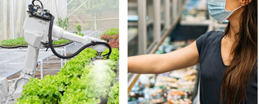 Lyceum Publisher – Research