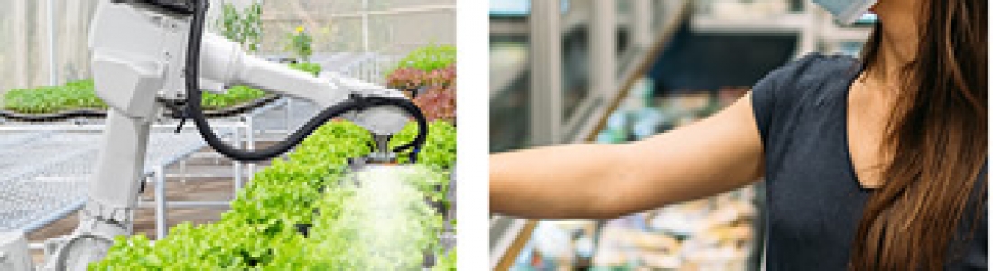 Lyceum Publisher – Research