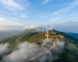 Lyceum Publisher Nature