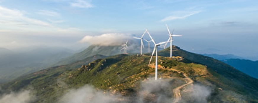 Lyceum Publisher Nature