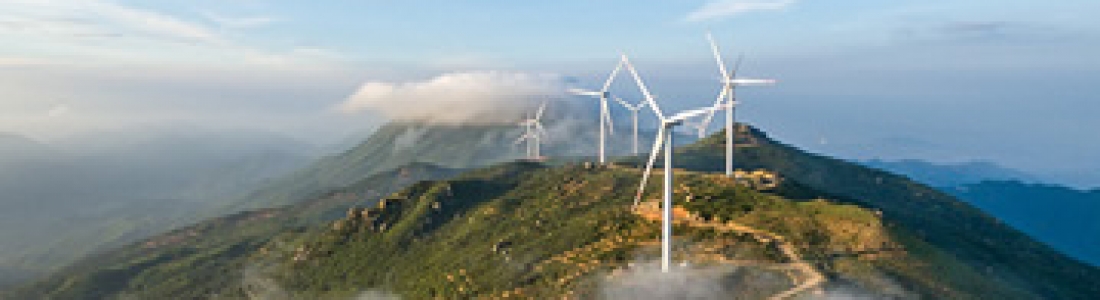 Lyceum Publisher Nature